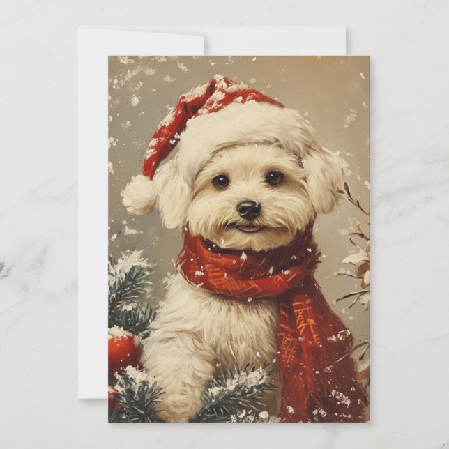 Tarjeta Festiva Navidades de perros de Malta (Anverso)