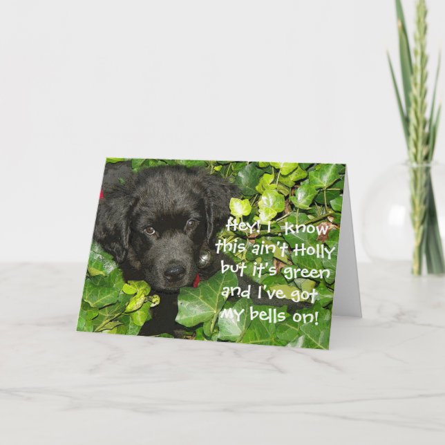Tarjeta Festiva Navidades de perros de Terranova saludando (Anverso)
