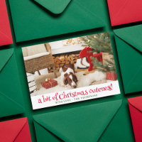 Navidades de perros divertidos. Foto de Mascota pe