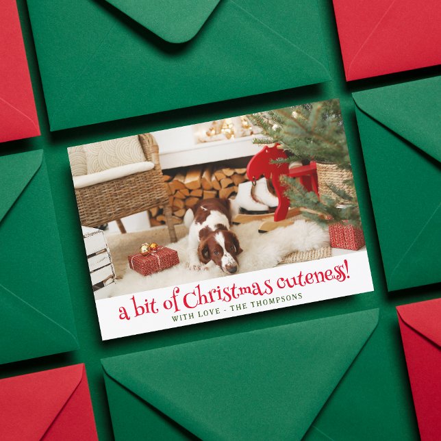 Tarjeta Festiva Navidades de perros divertidos. Foto de Mascota pe (Subido por el creador)