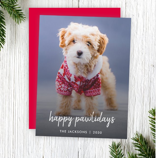 Tarjeta Festiva Navidades de perros | Modernas y ricas copas de ma (Celebrate your furry friend with a modern "Happy Pawlidays" photo Christmas card by Guava)