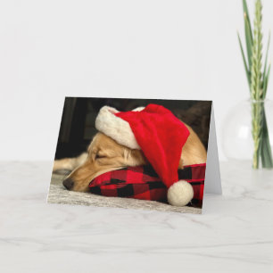 Tarjeta Festiva Navidades de perros que duermen duramente durante 