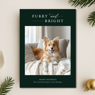 Tarjeta Festiva Navidades de perros simples y brillantes 2 Fotogra