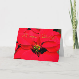 Tarjeta Festiva Navidades de Poinsettia Roja