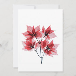 Tarjeta Festiva Navidades de Poinsettia Roja de rayos X
