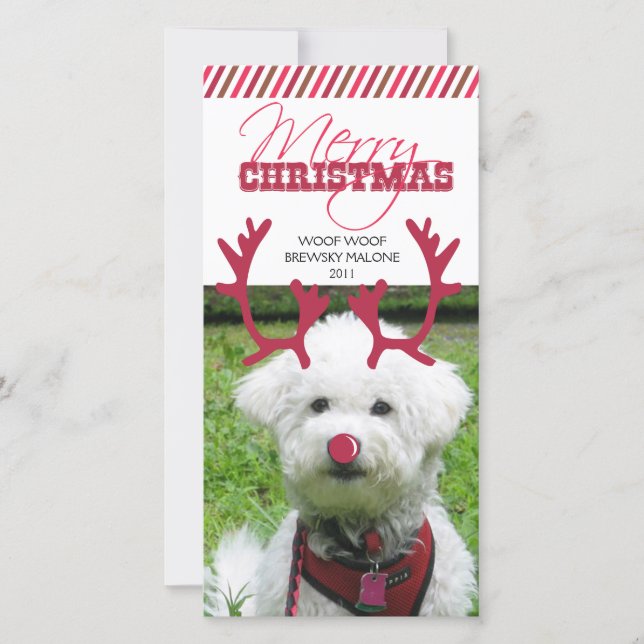 Tarjeta Festiva ¡Navidades de renos Antler y Mascota de nariz roja (Anverso)