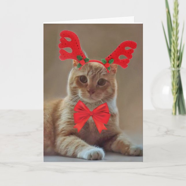 Tarjeta Festiva Navidades de renos gatos de Kitty (Anverso)