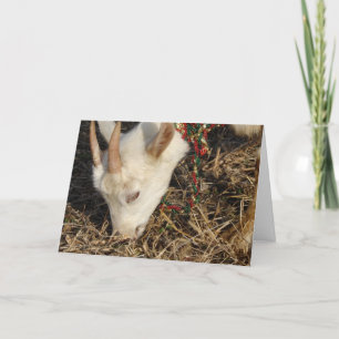 Tarjeta Festiva Navidades de Saanen Goat