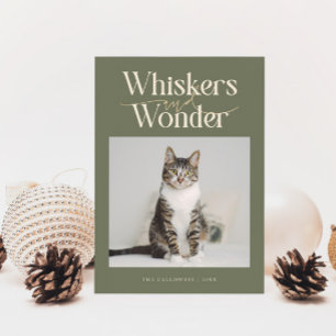 Tarjeta Festiva Navidades de sabios de fotos de gatos con bromas y
