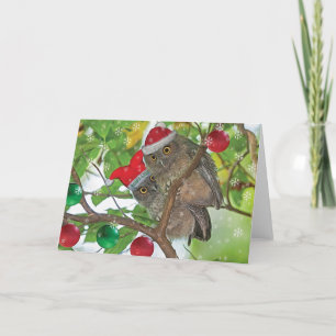 Tarjeta Festiva Navidades de Screech Owls de Occidente