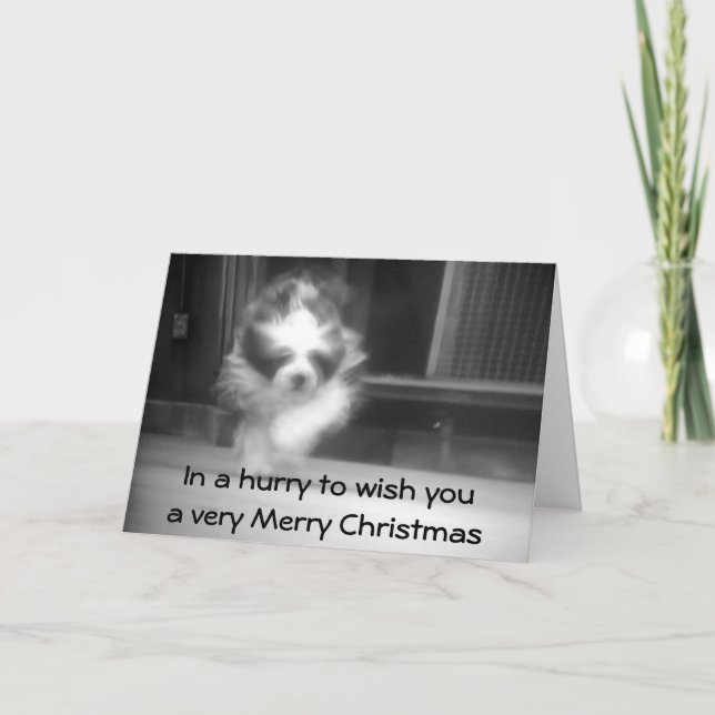 TARJETA FESTIVA NAVIDADES DE SHEEPDOG WISHES (Anverso)