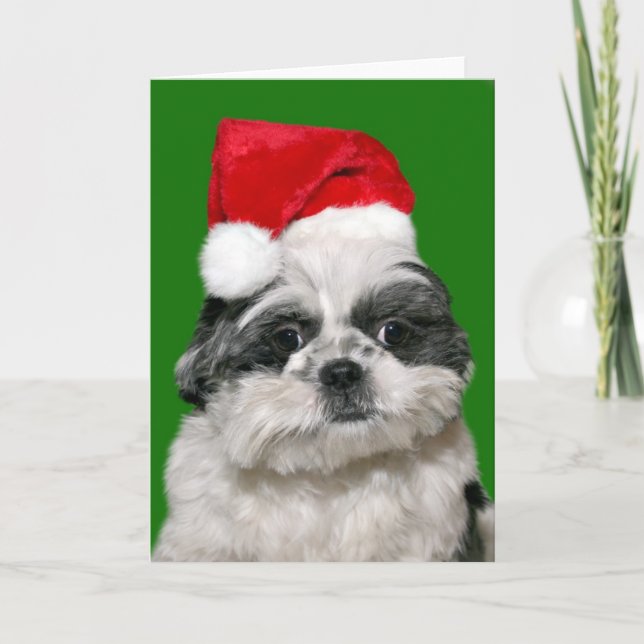 Tarjeta Festiva Navidades de Shih Tzu (Anverso)