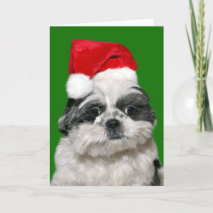 Tarjeta Festiva Navidades de Shih Tzu