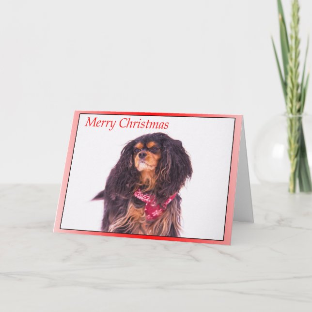 Tarjeta Festiva Navidades de Snowden Cavalier King Charles Spaniel (Anverso)