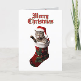Tarjeta Festiva Navidades de Tabby