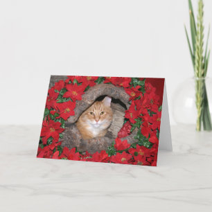 Tarjeta Festiva Navidades de Tabby