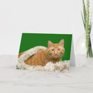 Tarjeta Festiva Navidades de tabby naranja