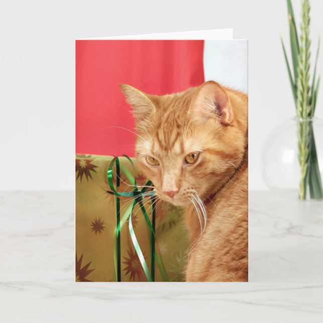 Tarjeta Festiva Navidades de tabby naranja (Anverso)