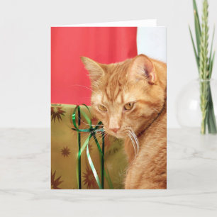 Tarjeta Festiva Navidades de tabby naranja