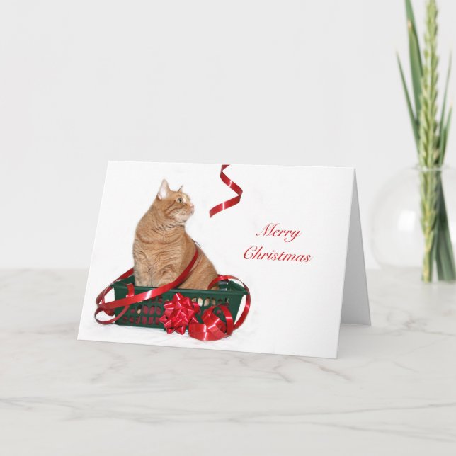 Tarjeta Festiva Navidades de tabby naranja (Anverso)