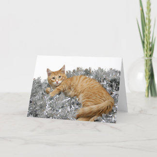 Tarjeta Festiva Navidades de tabby naranja