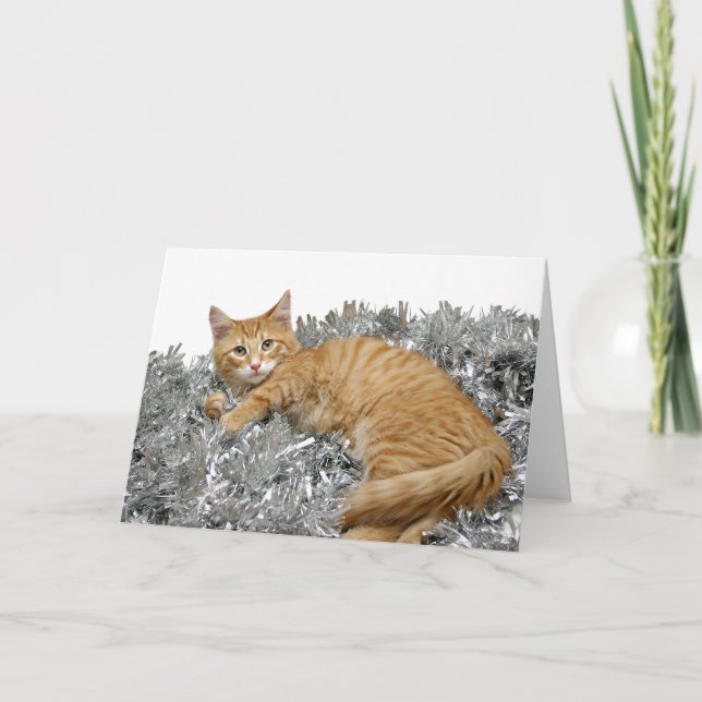Tarjeta Festiva Navidades de tabby naranja (Anverso)