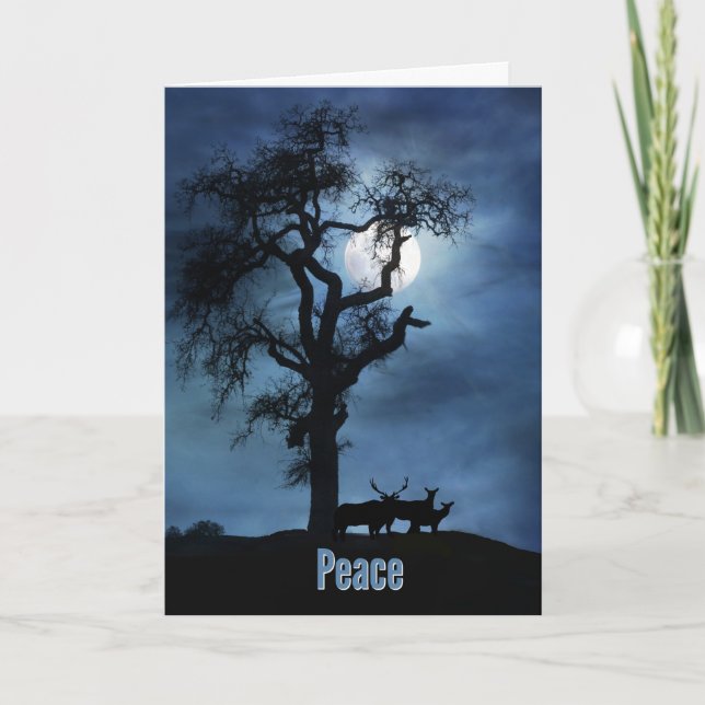 Tarjeta Festiva Navidades de vacaciones de bonito por la paz (Anverso)
