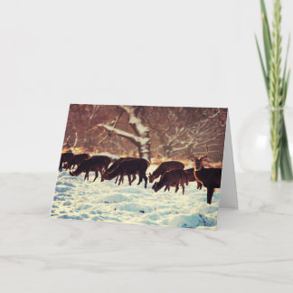 Tarjeta Festiva Navidades Deer