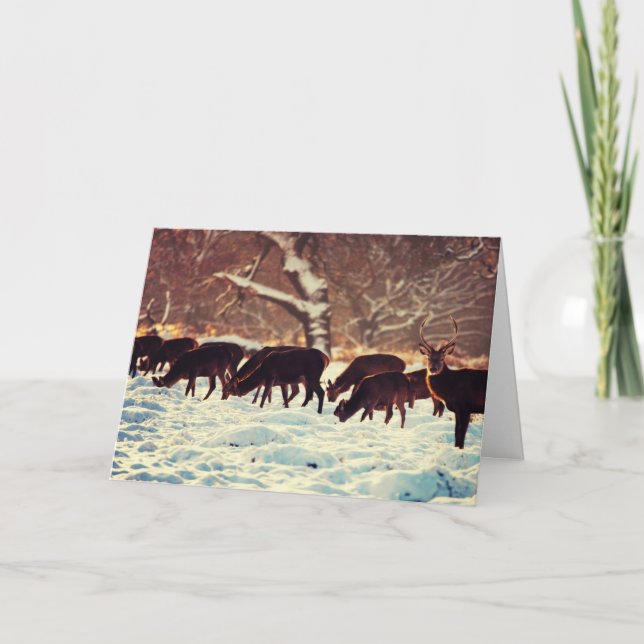 Tarjeta Festiva Navidades Deer (Anverso)