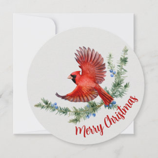 Tarjeta Festiva Navidades del Cardenal Rojo de Pájaro de color acu