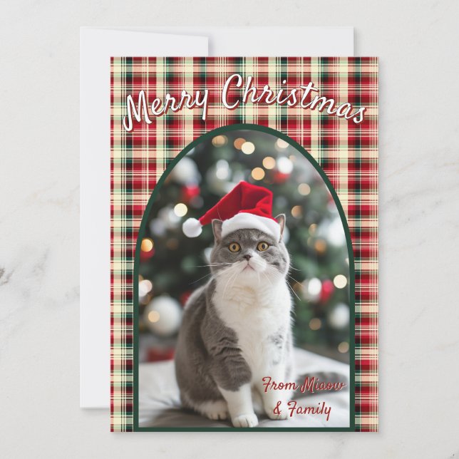 Tarjeta Festiva Navidades del gato personalizado (Anverso)