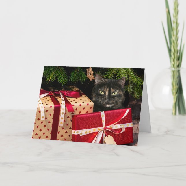 Tarjeta Festiva Navidades del gato Tortoiseshell (Anverso)