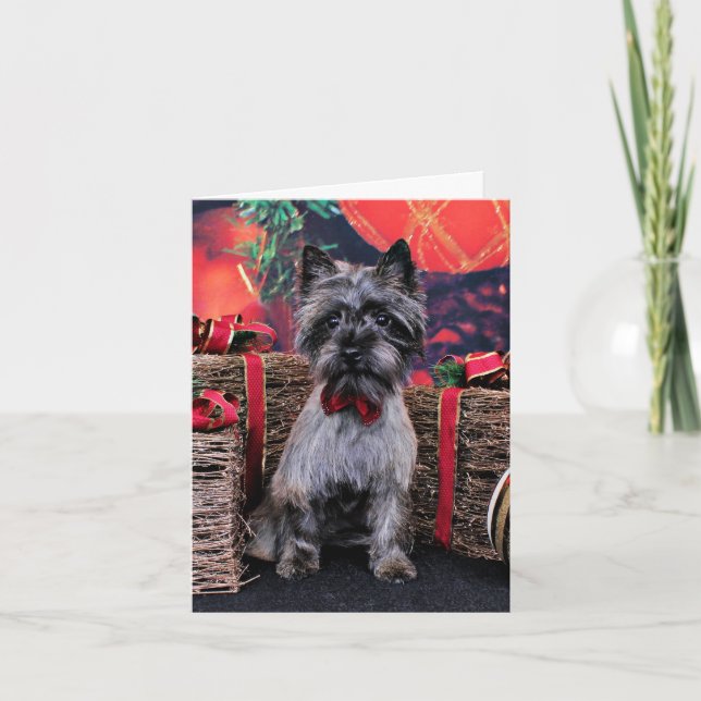 Tarjeta Festiva Navidades - Dexter - Cairn (Anverso)