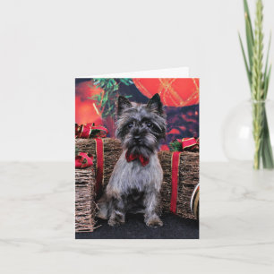 Tarjeta Festiva Navidades - Dexter - Cairn