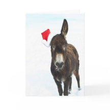 Navidades Donkey