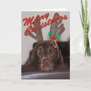 Tarjeta Festiva Navidades Drowsy Labrador con estafadores festivos