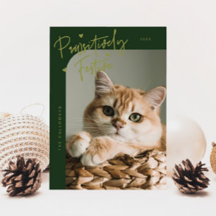 Tarjeta Festiva Navidades ecologistas de la foto de un gato festiv
