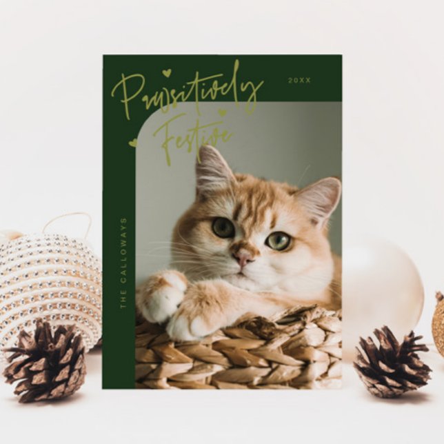 Tarjeta Festiva Navidades ecologistas de la foto de un gato festiv (Subido por el creador)