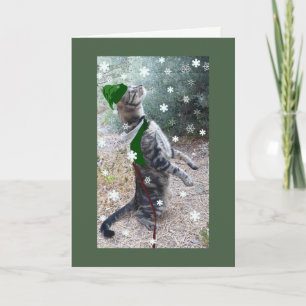 Tarjeta Festiva Navidades Elf Tabby Cat