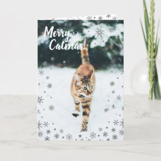 Tarjeta Festiva Navidades en la tabla cutan gato en la nieve