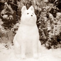 navidades escénicos de snowman akita