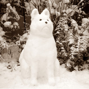 Tarjeta Festiva navidades escénicos de snowman akita