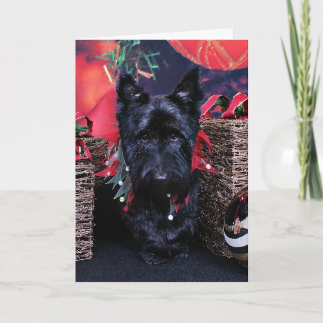 Tarjeta Festiva Navidades - Escocia - Paisley (Anverso)