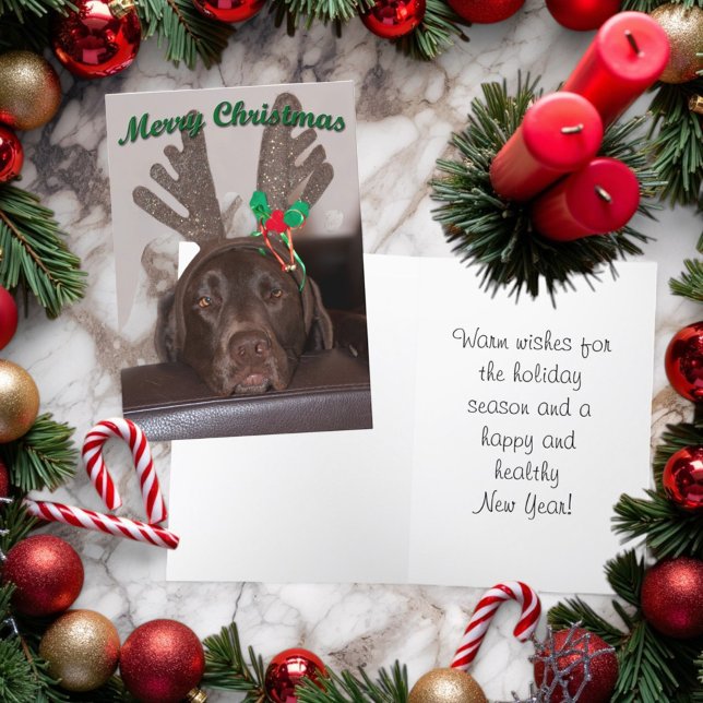 Tarjeta Festiva Navidades Festividades Perro Con Antlers Purpurina (Folding Christmas card with cover and inside )