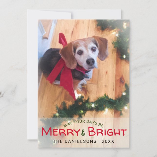 Tarjeta Festiva Navidades fotográficos de Bow Rojo y Perro Beagle  (Anverso)