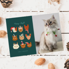 Tarjeta Festiva Navidades fotográficos de gatos de invierno de Meo