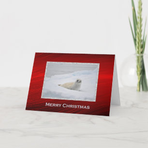 Tarjeta Festiva Navidades fotográficos de la nieve del sello del p