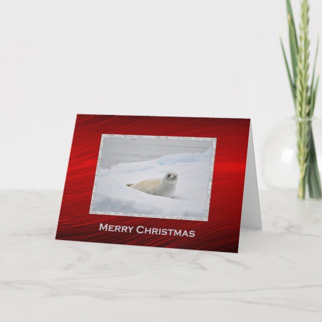 Tarjeta Festiva Navidades fotográficos de la nieve del sello del p (Anverso)