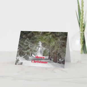 Tarjeta Festiva Navidades fotográficos de pinos de nieve en los ca