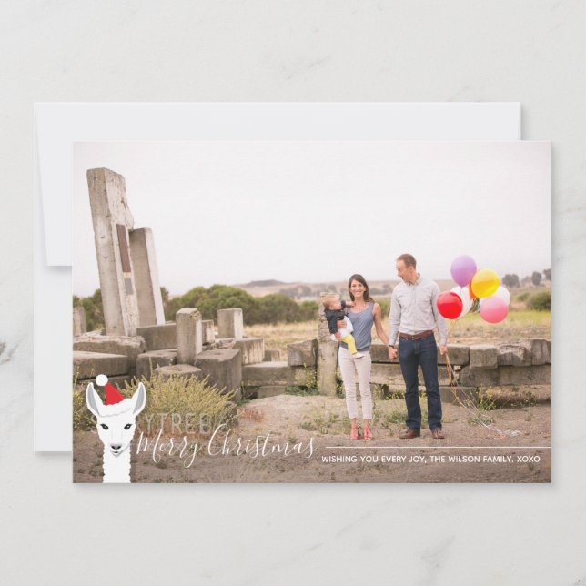 Tarjeta Festiva Navidades fotográficos de Santa Hat Llama (Anverso)